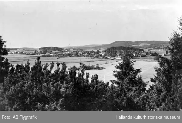 Bilden har använts till vykort, "Getinge Stationssamhälle. Utsikt från Skattagårds berg". I förgrunden odlingslandskap och skog med järnväg och en stor industribyggnad i samhället.