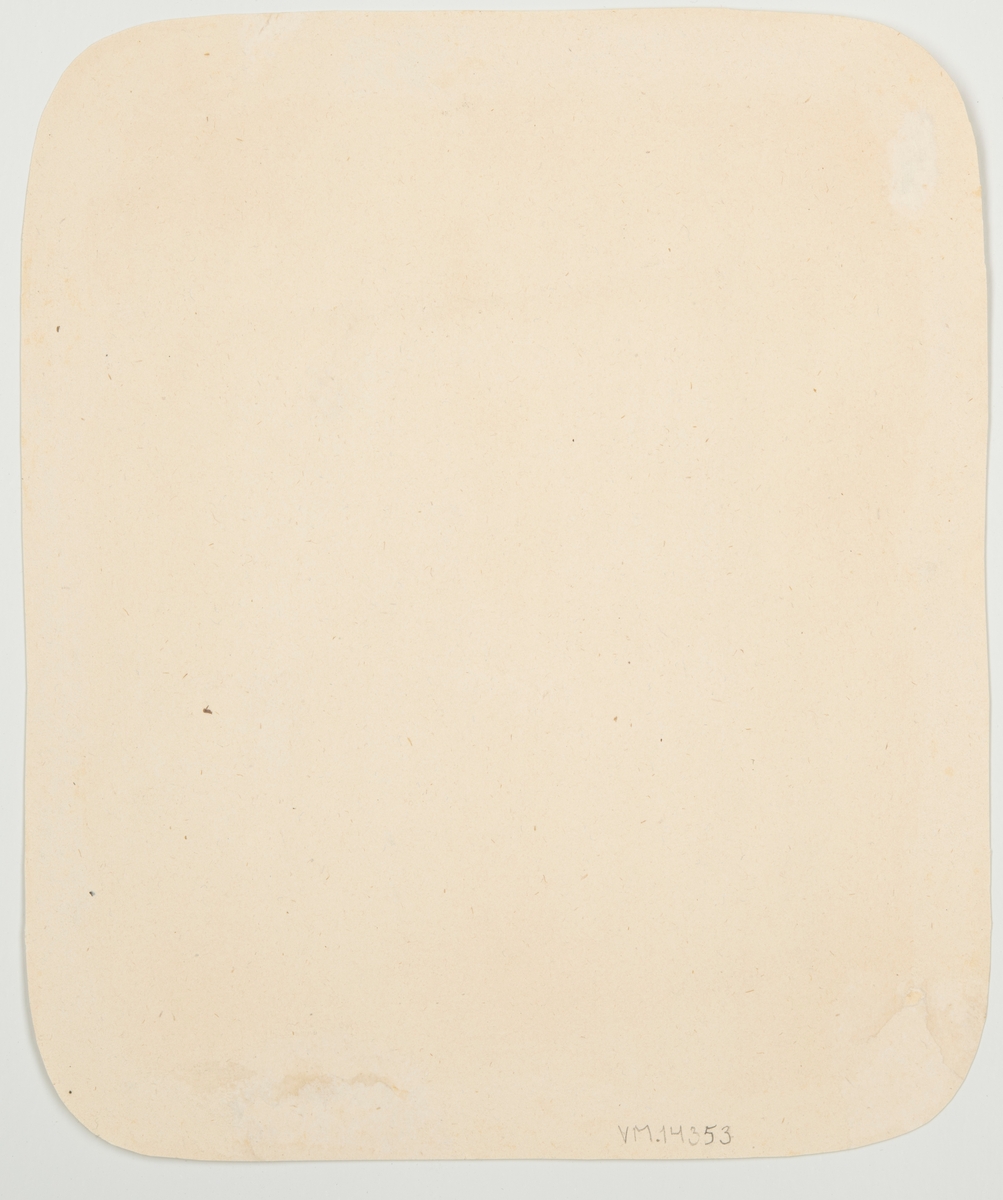 Följande står antecknat i Värmlands Museums accessionsliggare: "Gubbe med stort vitt skägg, på huvudet en slags (koppar)hjälm (rödbrun) med en grön bladkrans utanför.".
