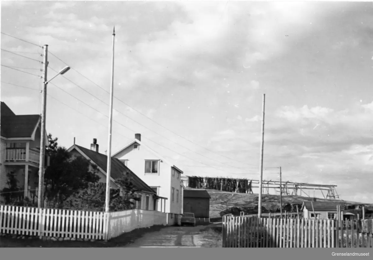 Bugøynes 18.07.1970.
Bergs, Salmis, og Nilsens hus på nesset, sett fra sør. Veien forbi husene kalles "KUJA"