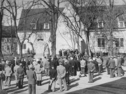Kransnedlegging ved krigsminnesmerket, 17. mai 1952.