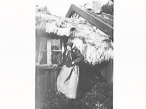 Äldre kvinna framför fönstret till en ryggåsstuga i hörnet till det vidbyggda loftet. Notera den ovanliga taktäckningen med ålgräs som vitnar när det torkat. Tjocka lager krävs för att hålla tätt. Severin Nilson köpte "Bolsestugan" 1908 till målarateljé.