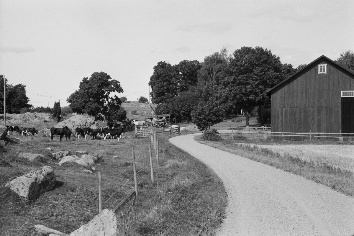 Vy Åkerby-Söderby 1:2, Åkerby socken, Uppland 1983