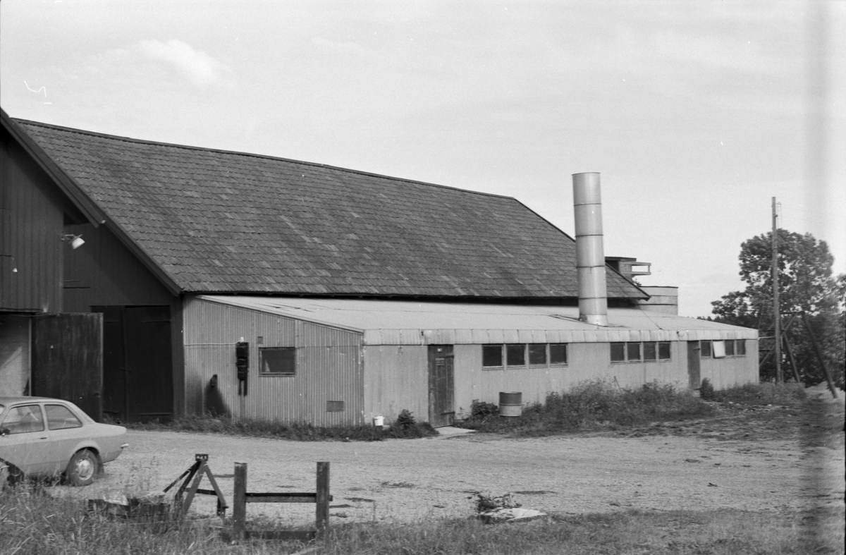 Lada och ladugård, Nåstuna 9:1, Vänge socken, Uppland 1975