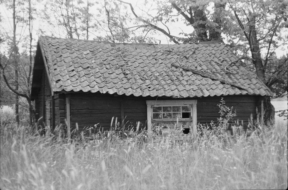 Hönshus, Almby 2:1, Stora Almby, Vänge socken, Uppland 1975