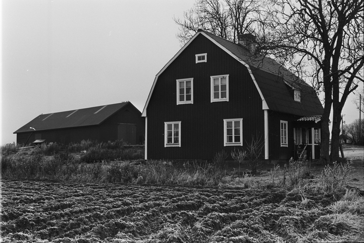 Bostadshus, Näs-Edeby 1:1, Uppsala-Näs socken, Uppland 1984