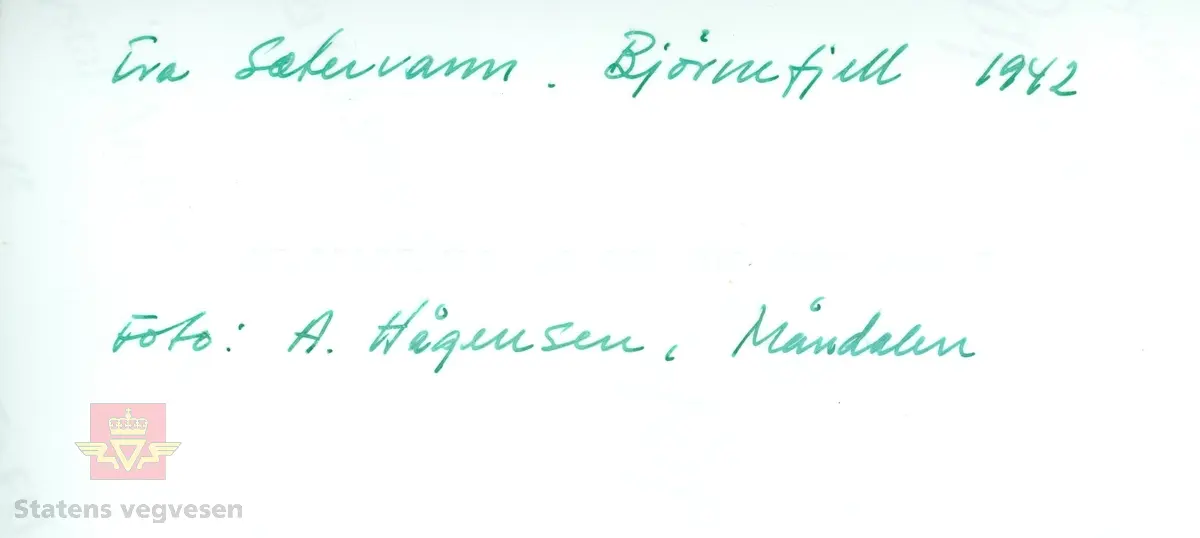 Utskrevne Måndalinger fra Romsdalen på Bjørnefjellvegen i 1942, sannsynligvis på fisketur ved Sætervann.

