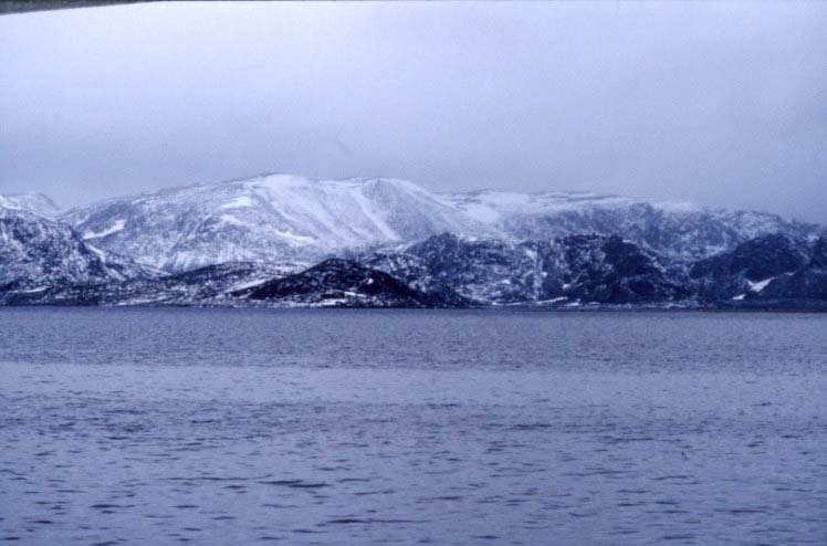 Vasahalvöya, norra Spetsbergen.