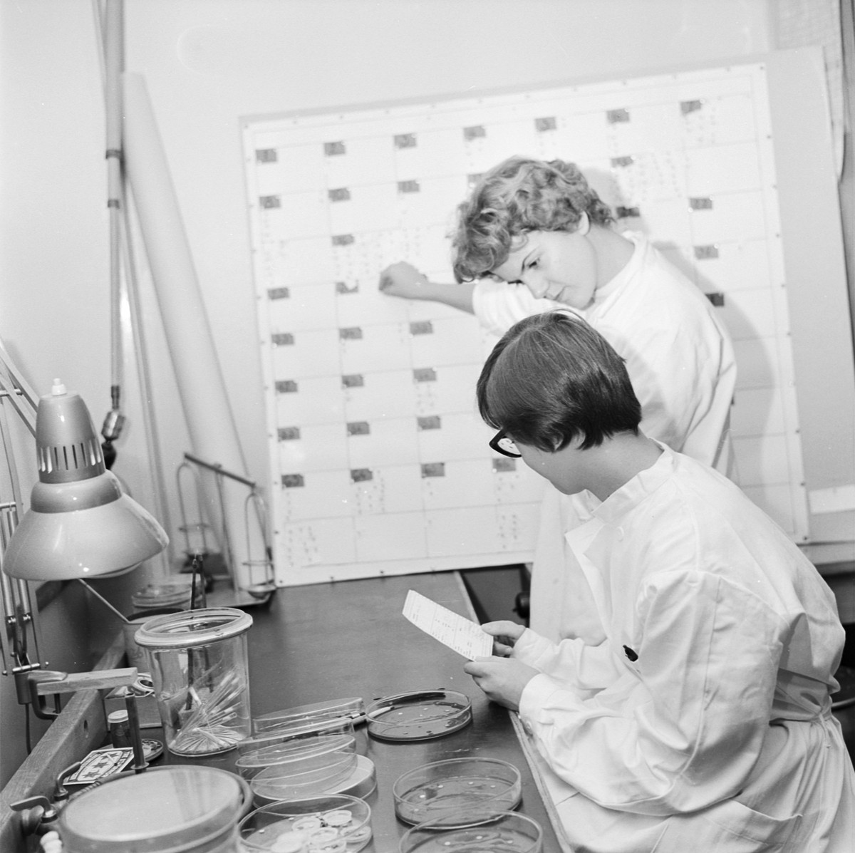 Hygienisk-bakteriologiska institutionen, Uppsala 1960