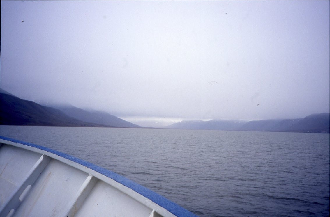 En grå dag över Isfjorden, låga moln över kustlinjens berg.