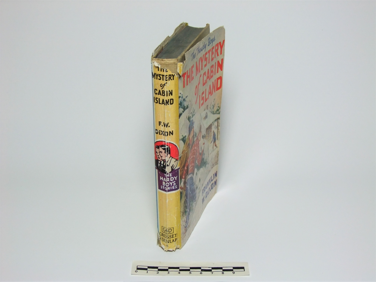 Amerikansk ungdomsbok ( spenningsbok ) for gutter.
Boka ble utgitt i 1929 og er en del av bokserien om "The Hardy Boys" ( på norsk : "Hardy-guttene" ).

"Full" tittel på omslaget :   The Hardy Boys [ : ]  The Mystery of Cabin Island

"Full" tittel inni boka :   Hardy Boys Mystery Stories [ : ]  The Mystery of Cabin Island

Forfatter :   Franklin W. Dixon       ( Franklin W. Dixon var et litterært kollektivpseudonym ( upersonlig dekknavn )
                                                           som ble delt mellom flere ulike forfattere som skrev bøker i samme bokserie. )

Utgiver :   Grosset & Dunlap  -  New York,  NY  ( USA )

Trykk :   [ Ukjent produsent ]  -  USA