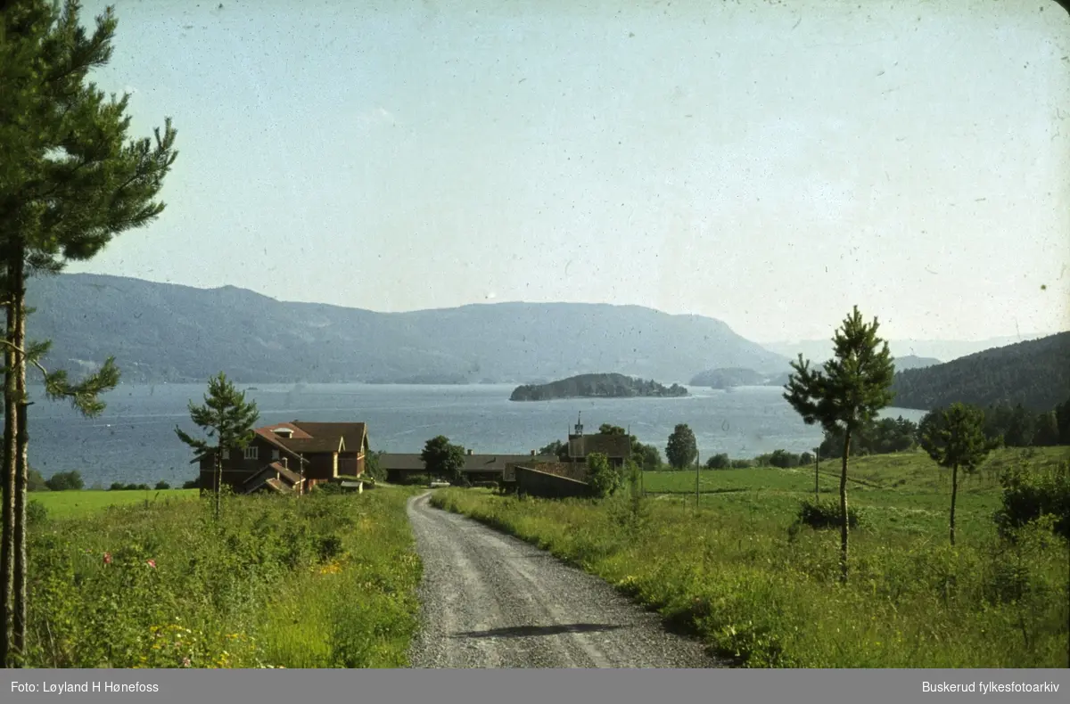 Åsa. Veien ned mot Steinsfjorden
