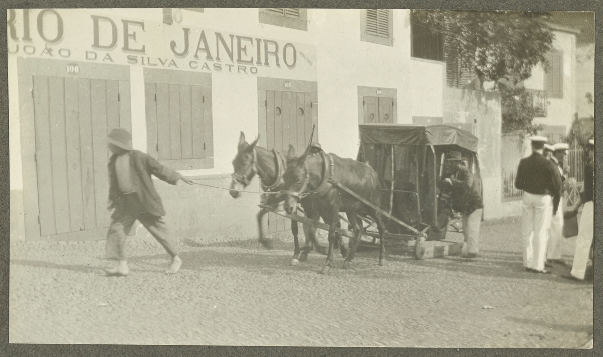 Här syns en gatuscen från Madeira med en barfotad man som leder två mulor som drar en släde. Vid höger bildkant syns några sjömän från Fylgia.