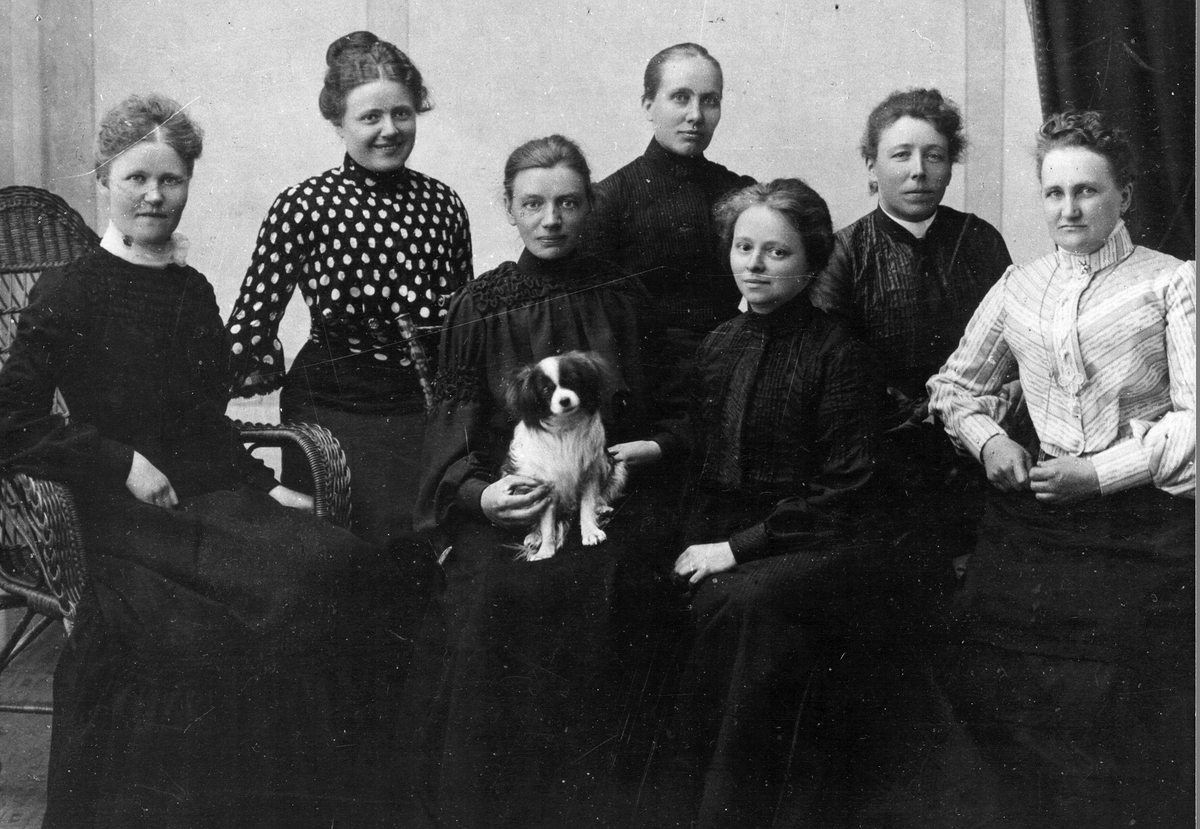 Boråslärarinnor år 1905. Sittande fr.v. Betty Gustafsson, Olivia Andersson, fröken Hull, Leonita Sundén. Stående fr.v. fröken Hull (syster), Ida Svensson och Maria Persson.
