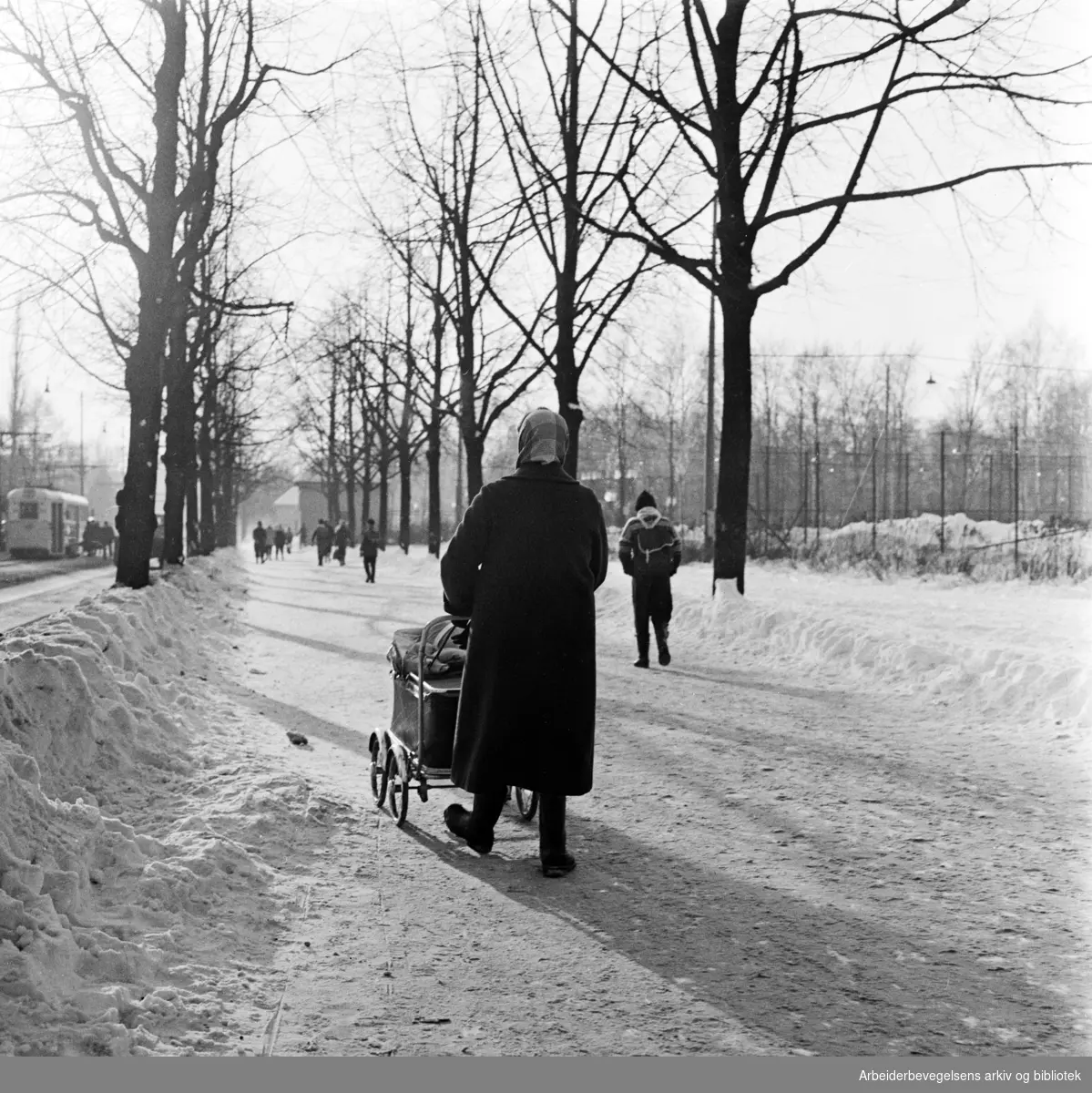 Spasertur i Kirkeveien - Frognerparken. Februar 1959.