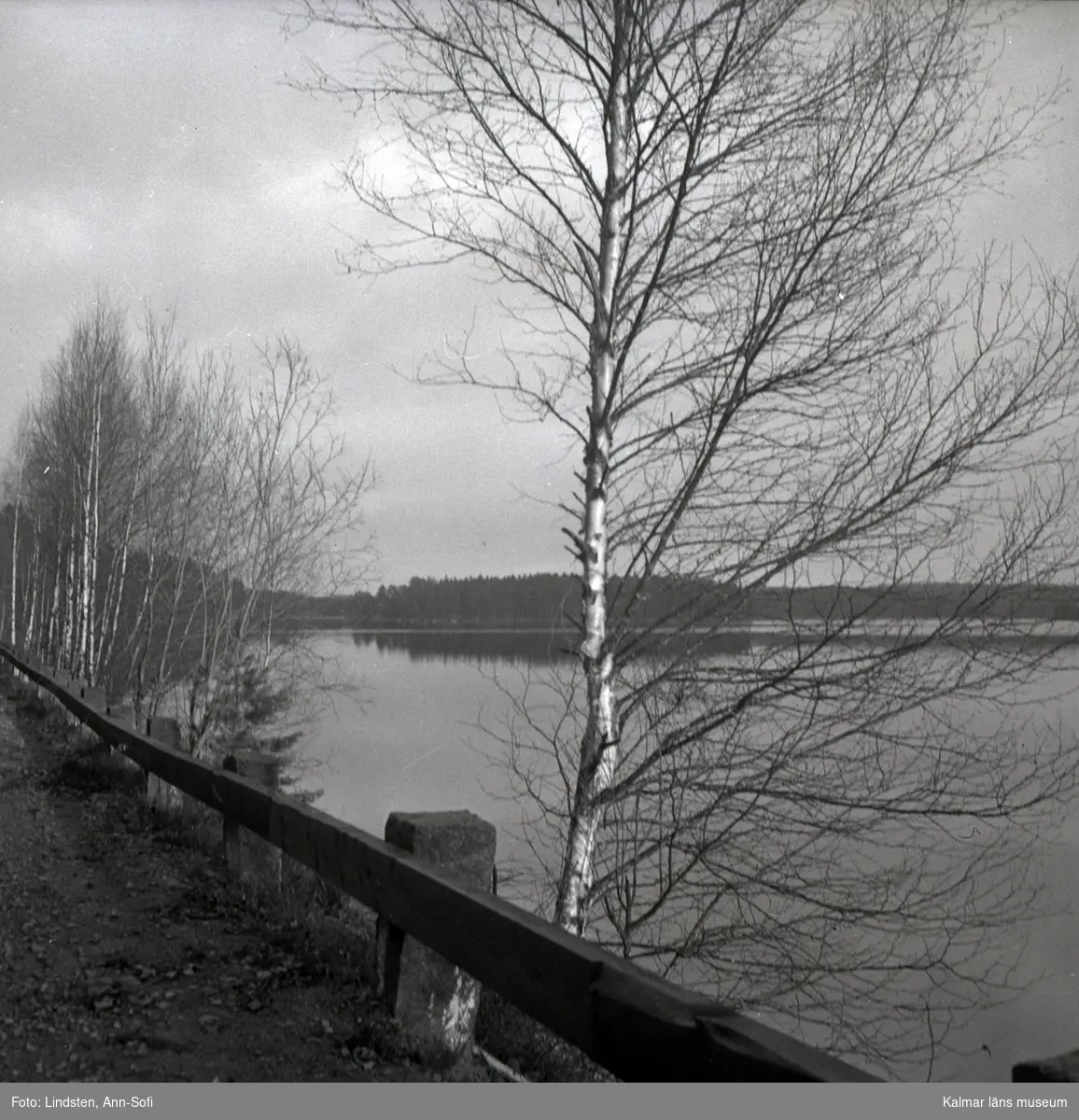 Stora Hammarsjön i Målilla socken, utsikt från landsvägen.