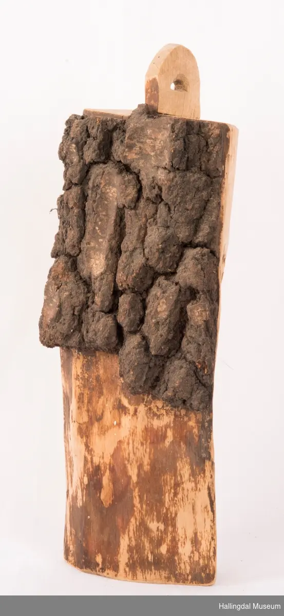 Trestykke "bøngestok" med grov bark som har vært brukt til oppsamling av gjær ved brygging av maltøl.