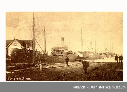 Vykort, "Varbergs hamn". En av lastbåtarna heter"Falken". På kajen ligger järnvägsräls för godsvagnar.