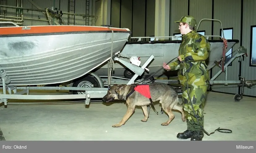 Hundutbildning.

Elev från hemvärn och hund söker vid båt.