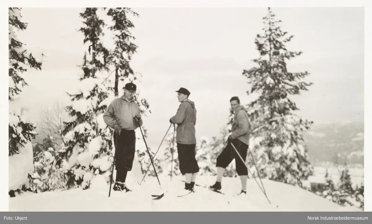Solli, februar 1931. Tre menn i nikkers med langrennski i snøen foran grantrær.