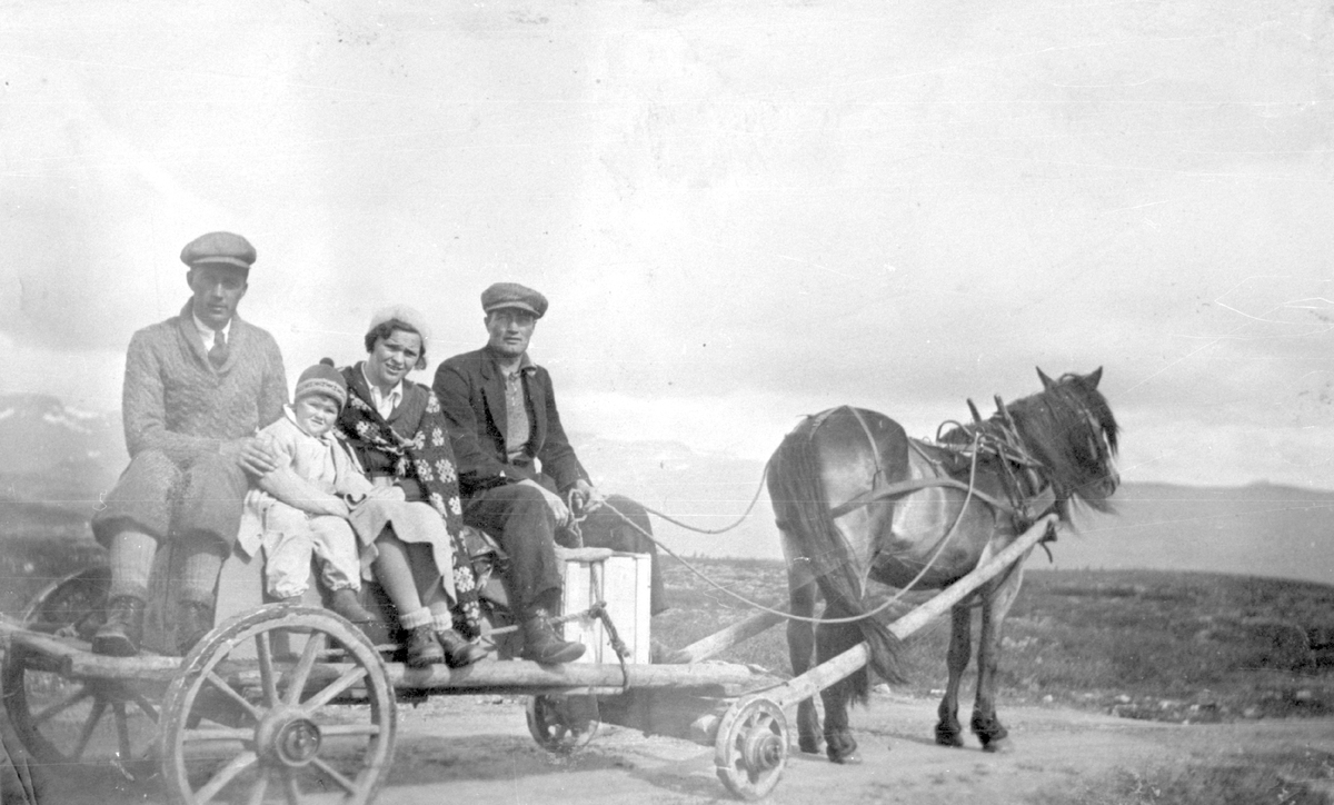 Nils Gullhauge med hest og vogn.