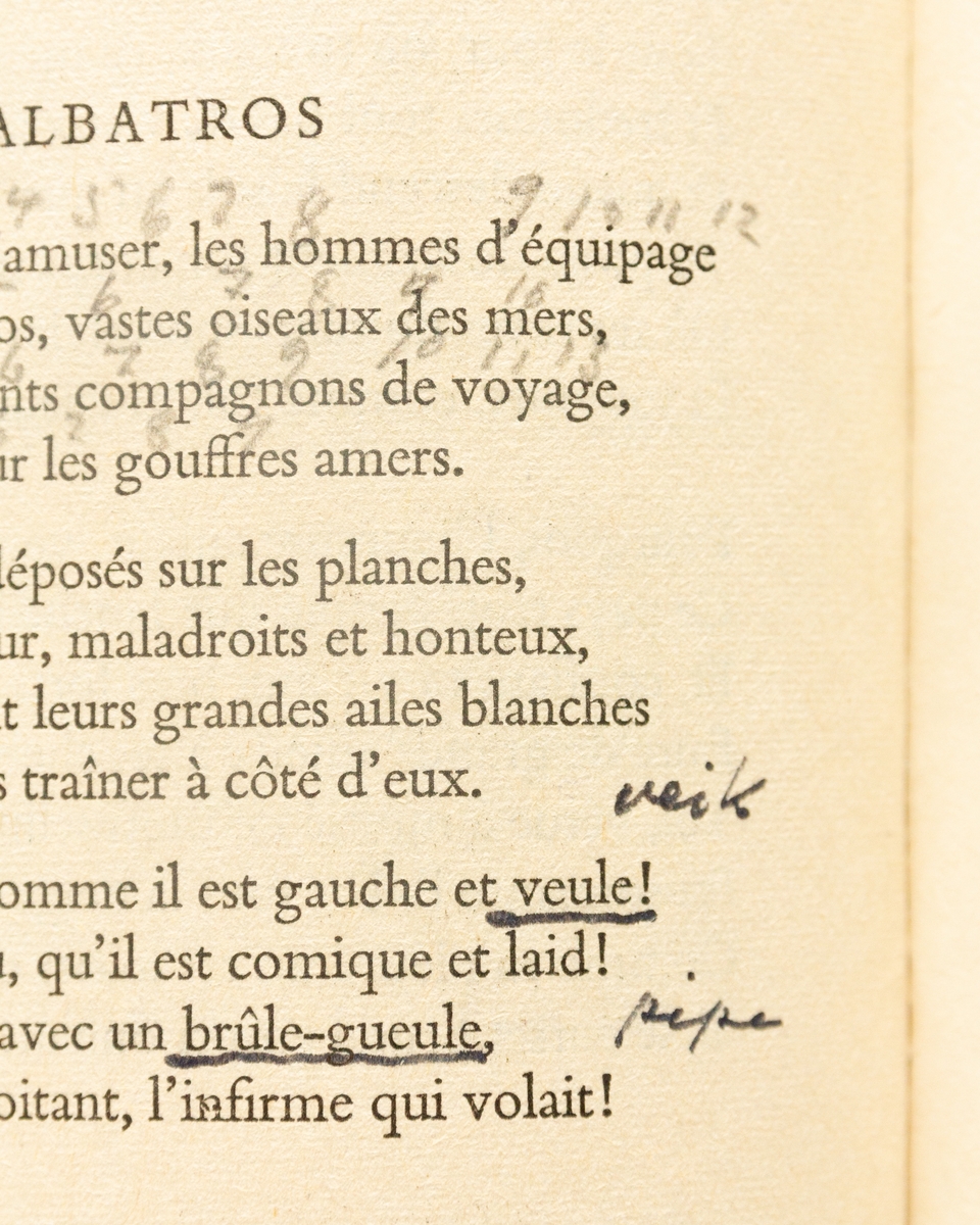 Charles Baudelaire: Selected Verse