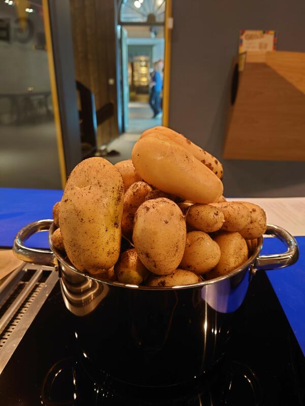 En kjele med poteter (Foto/Photo)