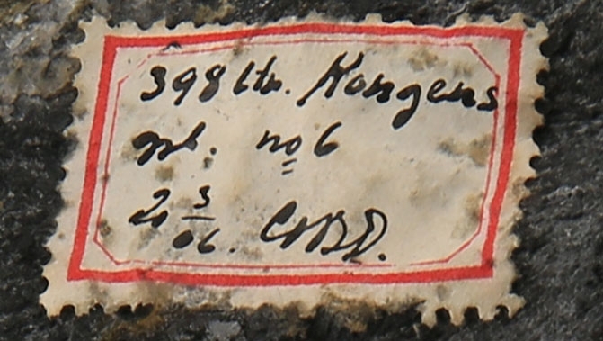 Tekst på etikett:
398 ltr. Kongens 
grb. no 6
20/3 06 COBD.