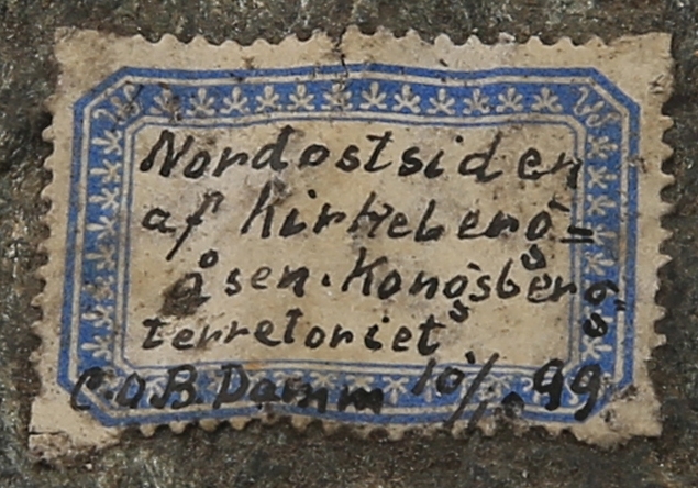 Tekst på etikett:
Nordostsiden 
af Kirkeberg-
åsen. Kongsberg-
terretoriet.
C.O.B.Damm10/10 99