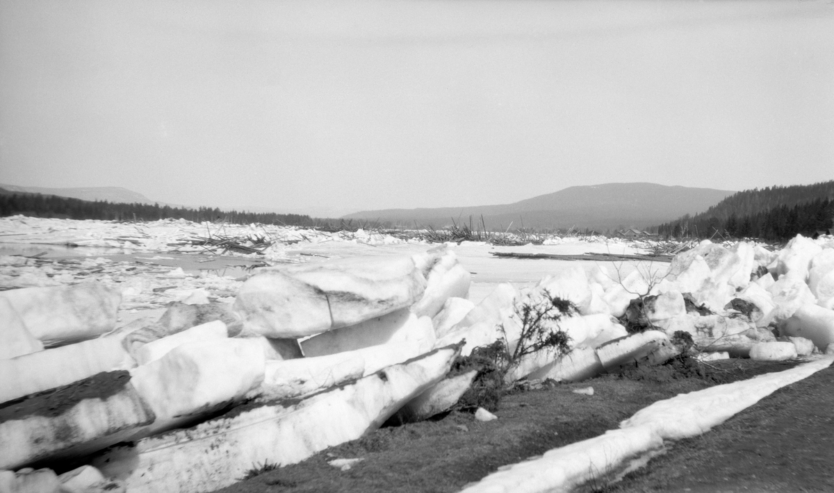 Fra vår- eller flomisgangen i Glomma i begynnelsen av mai 1928, Fotografiet er tatt ved Langenga i Strandbygda i Elverum, mot et elveløp der isflak fra den ovenforliggende delen av vassdraget hadde pakket seg sammen og dannet en voll, som stengte for is og vann som kom flytende nordfra. På denne måten ble hele den flate dalbotnen fylt med is, og innimellom isflakene var det også tømmer, som ble utsatt for harde påkjenninger. Dette var antakelig dels virke som var levert på elveisen i bygdene ovenfor, dels stokker fra velter i elveskråningene, som ble sopt med når isen kom og fylte hele elveløpet. Dette var naturligis spesielt kritisk for de skogeierne som ennå ikke hadde fått målt og merket virket sitt ennå da isgangen startet. Tømmeret deres ble til herreløst gods som skogeierne ikke kunne regne med å få betalt for.

Regionavisa «Østlendingen» beskrev isgangens virkninger i Strandbygda, der dette fotografiet er tatt, slik: 

«Isgangens herjinger i Strandbygda
Det er et ganske eiendommelig billede Strandbygdas østside fra Langenga og opover til Svanåsen avgir i disse dager. Efter at den veldige isdam løsnet i forgårs er vannmassene som oversvømmet elvebreddene sunket, så Glåma går nu som i en bred renne med svære isgarer på begge sider. Veien på østsiden som går i slyninger langs elven, er på flere steder helt sperret av veldige isblokker som har tårnet sig sammen. Trær og busker langs elvebredden er revet overende og jorden rotet op. Veilegemet er blitt overskyllet og veidekket ødelagt på flere steder, så det vil koste meget arbeide å få isblokkene vekk og veien farbar igjen. Tømmer og is ligger stuvet om hverandre langs breddene og tildels innover jordene, telefonstolper er knekket over og lysledningsstolper er veltet, så store deler av Strandbygda nu ligger i mørke. 

Fra flere av de mest utsatte eiendommer måtte de flytte ut med innbo og kreaturer. Hos Ole Gundersen blev ene veggen i vedskålen trykket inn av svære isblokker som ligger der fremdeles. Et sted ser man en låve som er revet med flommen, et annet sted finner man overbygget til en brønn tatt med av isflakene. Verst har det gått ut over Inger Blaaruds eiendom. Her ligger isflakene over hele tunet like inn til stuedøren. Grunnmuren er undergravet og jordveien stygt medfaret. Det er på sin plass at der her på den ene eller annen måte blir gjort noe for den skadelidte, som sitter i små kår, kan få hjelp og erstatning.

Det vil i dag bli tatt fatt på å gjøre veien farbar og foreløpig utbedret. Det er fare for at isgangen flere steder hvor veien går like ved elven har gravet langs elvebredden og at nye utgravninger kan befryktes når vannflommen kommer for alvor.

Gamle folk i Strandbygda kan ikke huske at der noen gang har vært en slik isgang med derav følgende ødeleggelser. Storflom og oversvømmelser har nok forekommet, men ikke noen isgang av dimensjoner som den der nettop har hjemsøkt bygda.»
 
Isgang var ikke noe ukjent fenomen i Østerdalen, men etter at innsjøen Aursunden øverst i vassdraget ble regulert i 1924, med sikte på å samle vann som skulle komme kraftverksturbinene til gode i vintersesongen, ble isgangene et nesten årvisst problem for folk som bodde langs vassdraget. Etter at dette hadde pågått noen år saksøkte grunneiere i Rendalen og Stor-Elvdal staten ved Vassdragsveseet og Glomma fellesfløtingsforening, som hadde sprengt vekk mange av steinskjærene i elva - se fanen «Opplysninger».