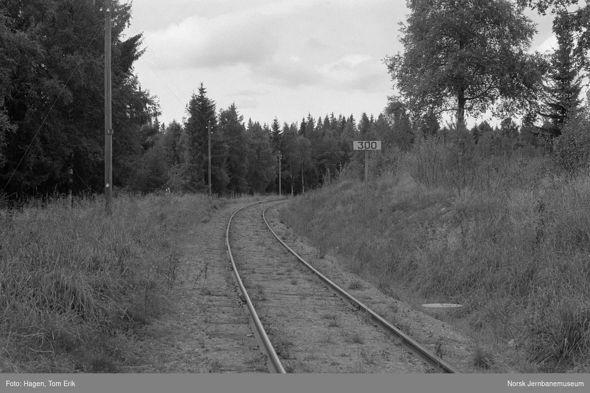 Skreiabanen mellom Bøverbru og Lena