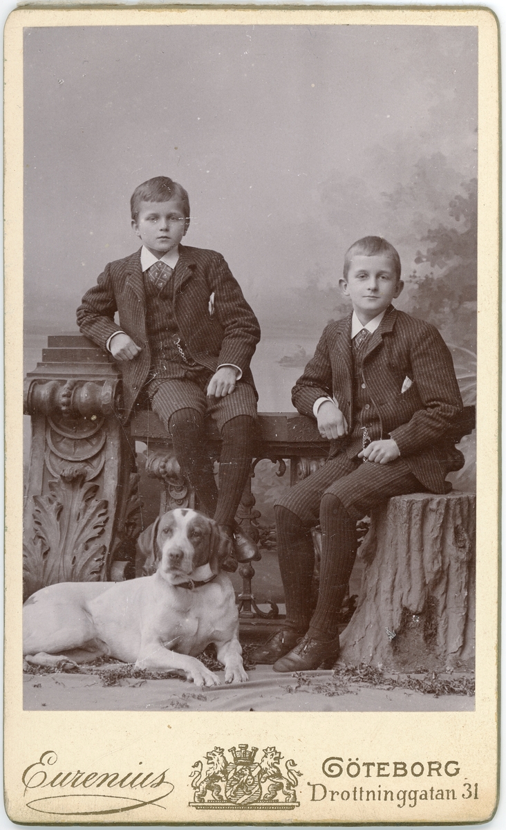 Kabinettsfotografi - två pojkar och en hund, Göteborg