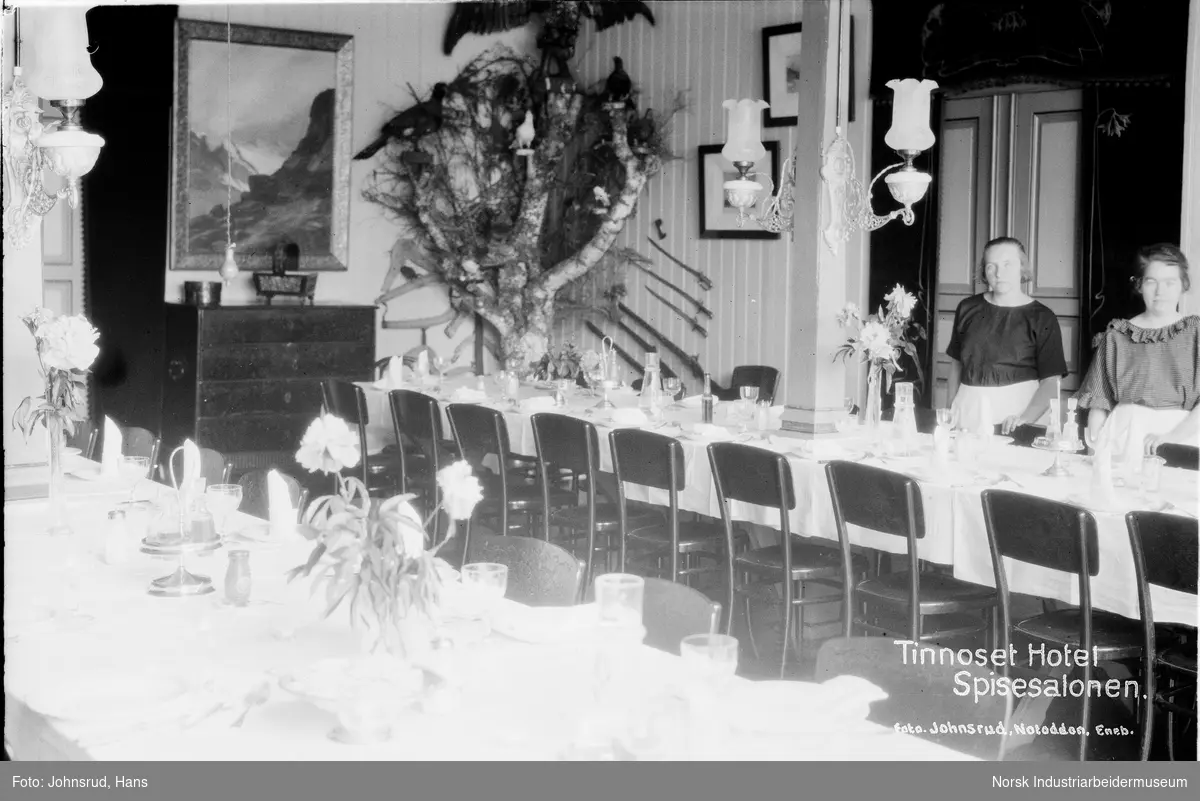Interiørbilde av spisesalongen ved Tinnoset hotell. To langbord dekket til for måltid. To kvinner står bak det en bordet på høyre side av bildet. I bakgrunnen er det en dekorasjon bestående av et tre med flere utstoppede fugler. På veggen rundt treet henger det bilder, verktøy, og våpen.