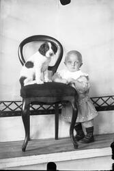 Portrett av liten gutt og hund