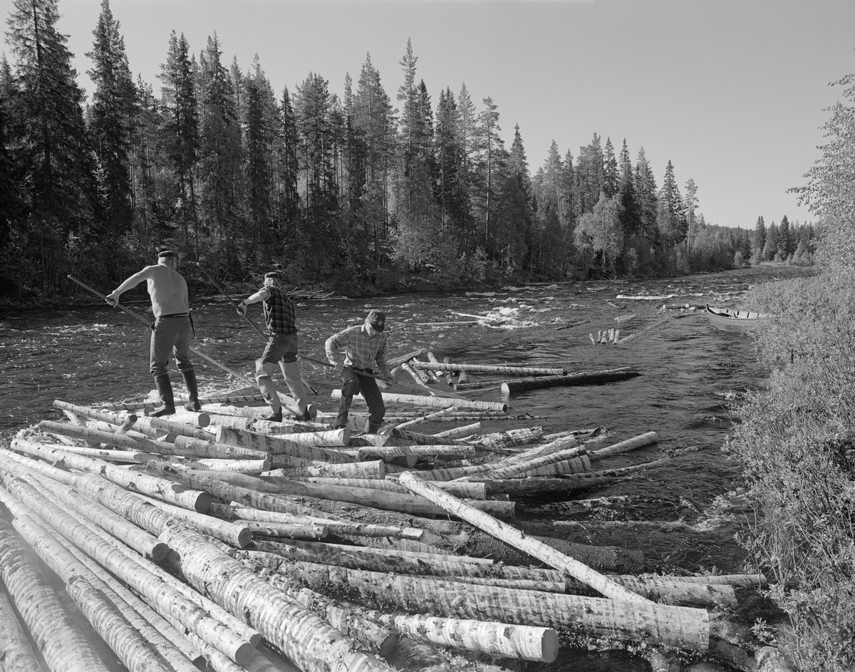 Sluttrensk i elva Stor-Grøna, også kalt Foreninga eller Store Grøna. Fløtere i arbeid for å løsne tømmeret i en tømmervase.