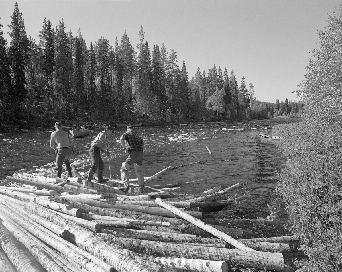 Sluttrensk i elva Stor-Grøna i Trysil, Hedmark. Fløtere i arbeid for å løsne tømmeret i en tømmervase som har bygd seg opp i elva.
