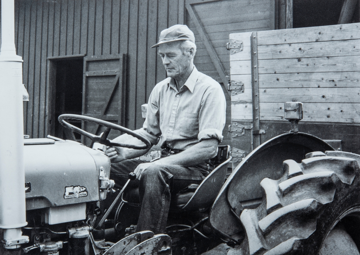 Odd Hjermstad (f 1955) sittende på traktoren, kjøring av korn på Hjermstad gård, Stange.