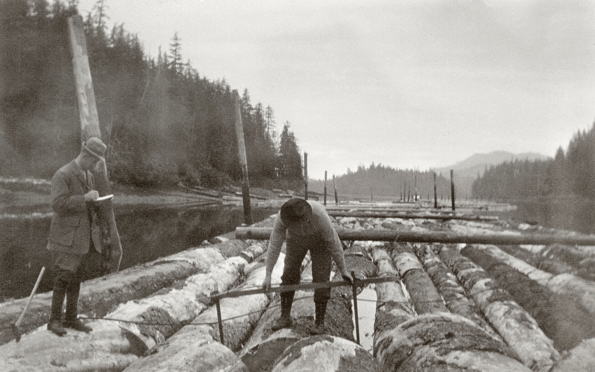 Diametermåling av tømmer på vassdrag, antakelig på elva Yukon i Akaska i USA. Sentralt i bildet sto en mann bøyd over en diger skyveklave som han brukte til å måle stammediameteren på den tømmerstokken han sto på. Til venstre for ham sto det en annen mann med en blokk, ei «stikkbok», der han noterte målene på tømmeret. Stokkene var samlet i lange flåter, der stokkene lå parallelt, holdt i posisjon av vertikale stolper langs ytterkantene. Vi skimter også ei vaierline like ved beina til karene på bildet, og lengre bak lå det, med betydelig innbyrdes avstand, stokker oppå flåten, vinkelrett på lengderetningen.  Tømmeret var - etter norsk målestokk - svært grovt. Smitt kommenterte dette slik: «... Derfor vil det som regel bringe tap at drive ut alle "smaadimensionerne". Trær som "kun" holder 2 fot i brysthøydediameter blir av denne grund sat igjen. Da disse trær som regel tilhører de undertrykte, ser skogen efter hugsten mere end almindelig rovbehandlet ut.» 

Det vi ser på dette fotografiet er dimensjonsmåling med sikte på salg. Skogene dette tømmeret kom fra tilhørte staten, som hadde sin skogadministrasjon i Washingtong D. C. Salget var imidlertid overlatt til de forstmennene som administrerte de lokale skogforvaltningen eller deres ikke altfor velskolerte «rangere». Hogster i skog som ikke var veldig grov ble også bortsatt «på rot» som «hand-loggings», der et par skogsarbeidere kunne gå sammen om å avvirke tømmeret og få det fram til vassdrag. Om dette skriver Smitt: «Driverne sælger saa tømmeret oplagt i flaater, som regel til de nærmeste sagbruk. Disse betaler i almindelighet fra kr. 4,- til kr. 5,- pr. kubikkmeter. Selv sælger disse igjen de skaarne materialer efter en pris av fra 15 kr. - 20 kr. pr. kubikmeter (1916).» Dimensjonene på det tømmeret som måles her kan vel tyde på at det er hogd og framdrevet av et noe større arbeidslag som disponerte «donkeys og staalwires» under framdrifta av stokkene.