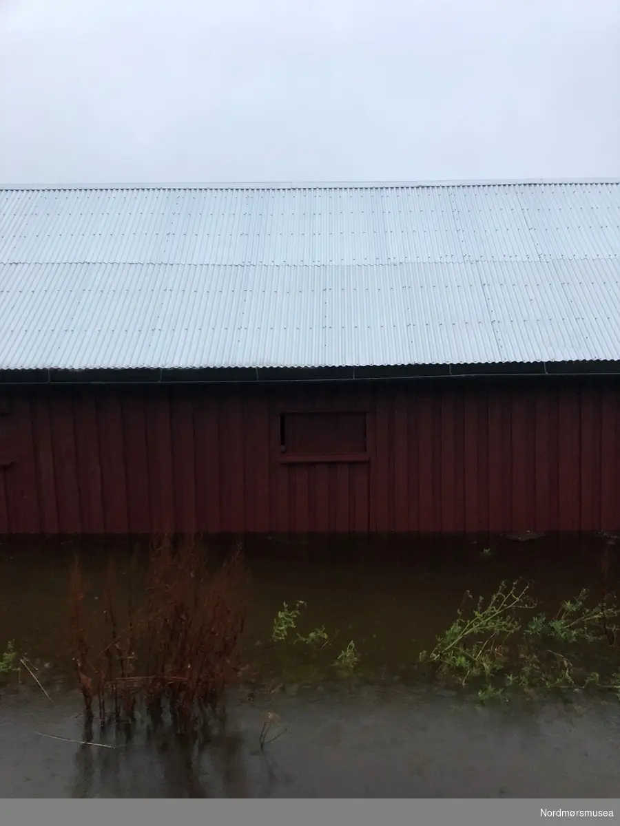 Storflom ved Brunsvikens reperbane i Myra, Kristiansund, omkring 14. oktober 2021. Brunsvikens reperbane som er fra 1856, er den eneste bevarte autentiske reperbanen i Norge, med alt produksjonsutstyr intakt. Reperbanen er 212 meter lang, 5,5 meter bred og 2,5 meter høy, og er med det byens lengste og smaleste hus. Bygningen er reist i stavline som var den byggemåten som dominerte i uthus på Nordmøre. Dette er verdens lengste stavline! I 2020 fikk Nordmøre museums venner Kristiansund midler fra Møre og Romsdal Fylkeskommune, Norsk Kulturminnefond og Varig forsikring til å renovere reperbanen og nytt blikktak ble lagt på de 48 metrene som trengte det mest, mot Storskarven. I oktober 2021 startet arbeidet med å legge nytt gulv, fra enden mot Banaveien. Foto: Stein Ryther. Fra Nordmøre museums fotosamlinger.