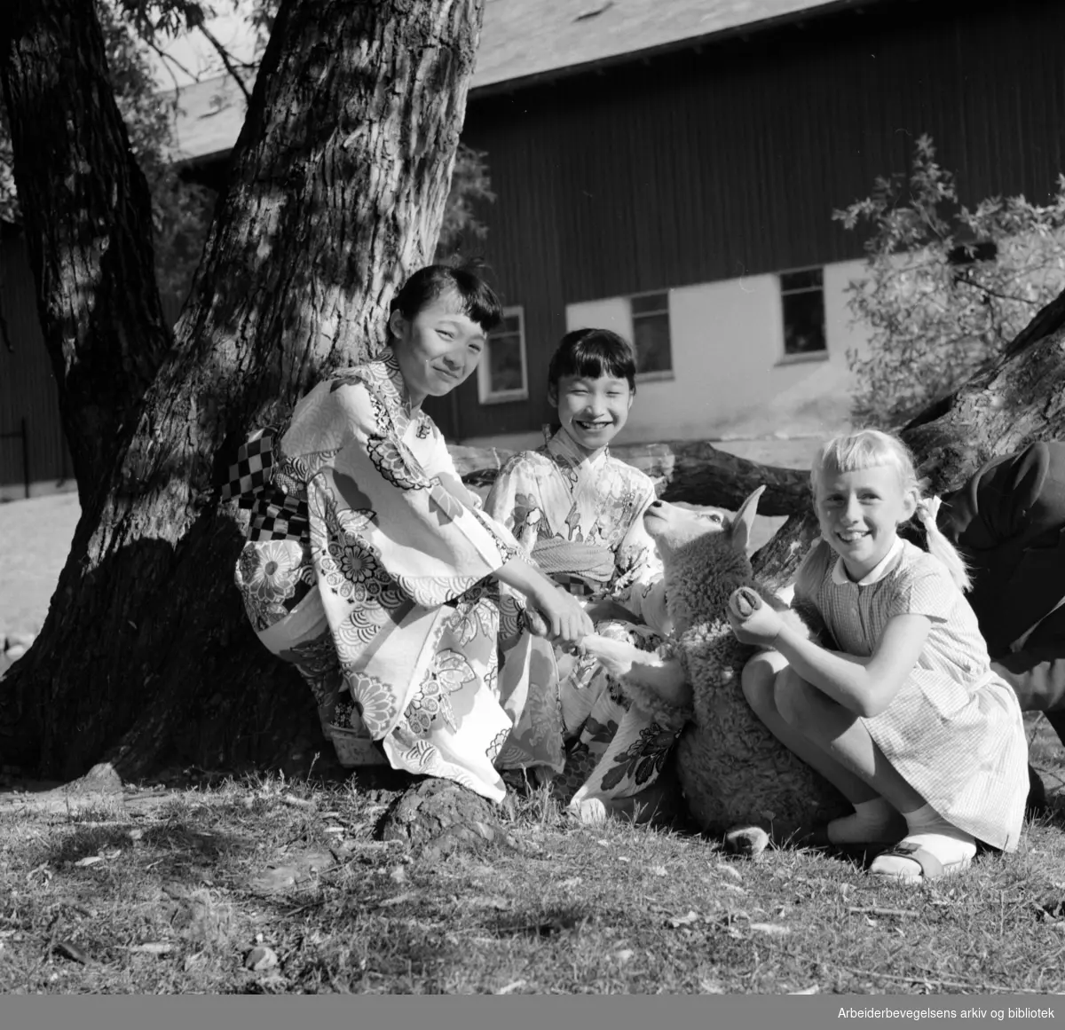 To diplomatbarn, Emiko og Kumiko, fra den Japanske Ambassaden i Oslo besøker sin vennine Jannicke på Grefsen gård. Juni 1959