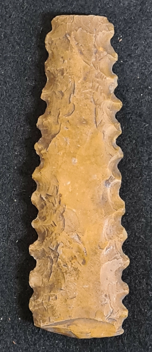 10 431. Från Skåne, sannolikt Ringsjötrakten.

Spjutspets eller dolk, fragment, 1 st av gul flinta. Slipad med sågtänder. Avslagen vid spetsen och basen. L. 10 cm, Bredd 3,3 cm.