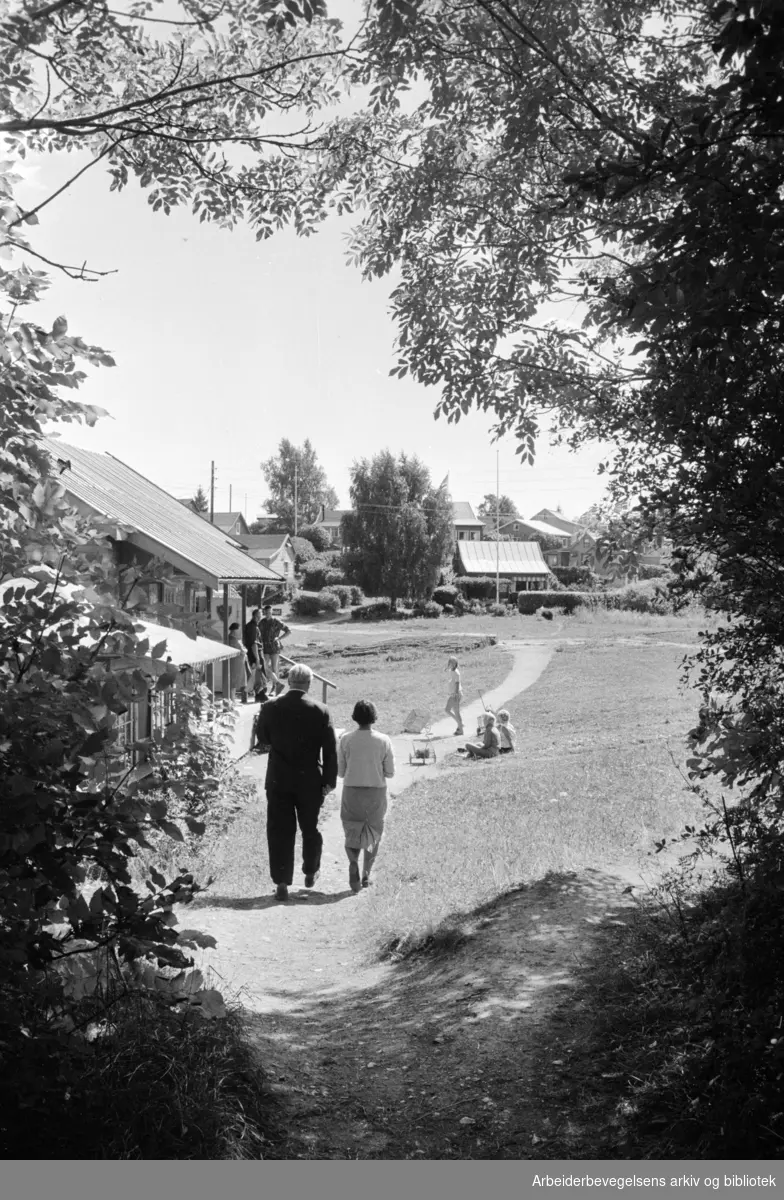 Øya Nakholmen, eller Nakkholmen (offisiell skrivemåte) i Oslofjorden. Juli 1963