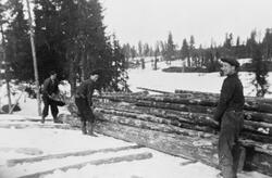 Tre personer foran en tømmerlunne på Flishøgda, Elverum, Hed