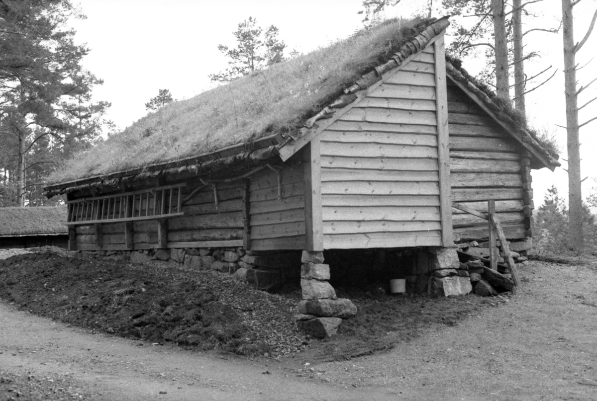 Dokumentasjonsbilder i serie av ei ferdig oppført bygning på Sunnmøre Museum. Et kufjøs med ei tilbygd grisebinge fra Fiskå i Vanylven.