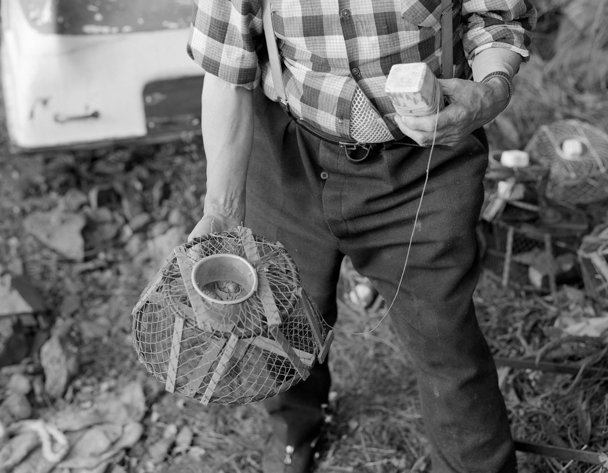Yrkesfiskeren Paul Stensæter (1900-1982) viser fram ei av teinene han brukte under krepsefisket i Steinsfjorden, en sidearm til Tyrifjorden på Ringerike (Hole kommune) i Buskerud. Teina var formet som ei avkuttet kjegle. Den hadde et skjelett som var lagd av kvister og lektestubber, overtrukket med garn. På toppen av teina var det en fangståpning, omgitt av en sylindrisk blikkrage. Stensæter viste også fram en trekloss, som ble forankret i teina ved hjelp av ei snor, slik at den kunne fungere som flytelegeme eller markør på vannspeilet.
