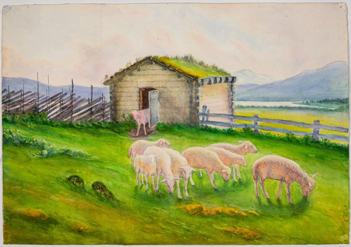 Skiss i akvarell, motiv från fjällandskap med boskap, får i hage med fårhus med torvtak. Osignerad.