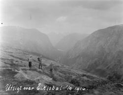 'Utsigt over Eikisdal 1/9 1916'