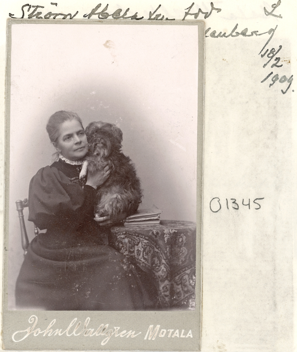 Porträtt av Abela Wallenberg, enligt påskrift i februari månad 1909. Från 1880 gift med civilingenjören Gösta Rudolf Ström. Paret bodde en tid i Hässleholm men inflyttade till Motala 1905. Hon avled i hjärtförlamning dryga halvåret efter porträtteringen.