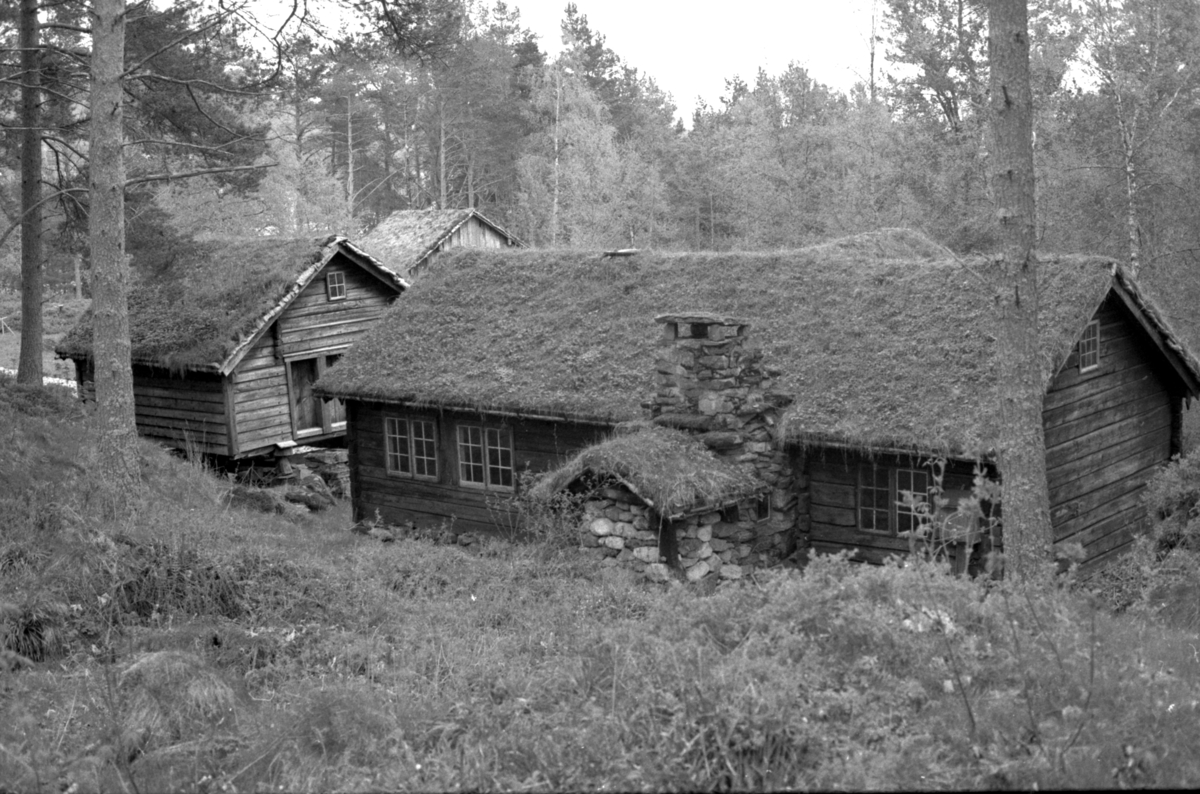 Prospektfotografi fra baksiden av "Liabygdstova" med "Ringsetstabburet" som står på Sunnmøre Museum. Her vises grua og bakerovnen som er bygd utenpå huset. Tidligere lokasjon var Ellinggarden, Overå,, Stranda.