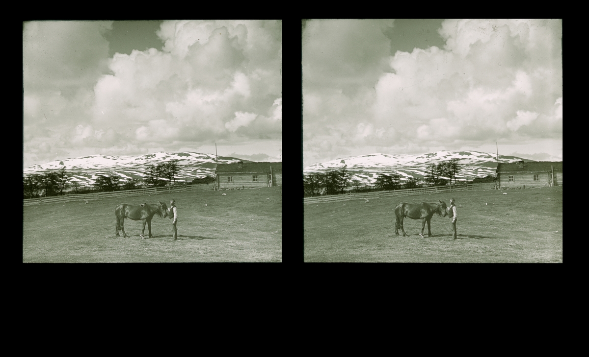 Mann med hest, ved Storerikvollen. Tilhører Arkitekt Hans Grendahls samling av stereobilder.