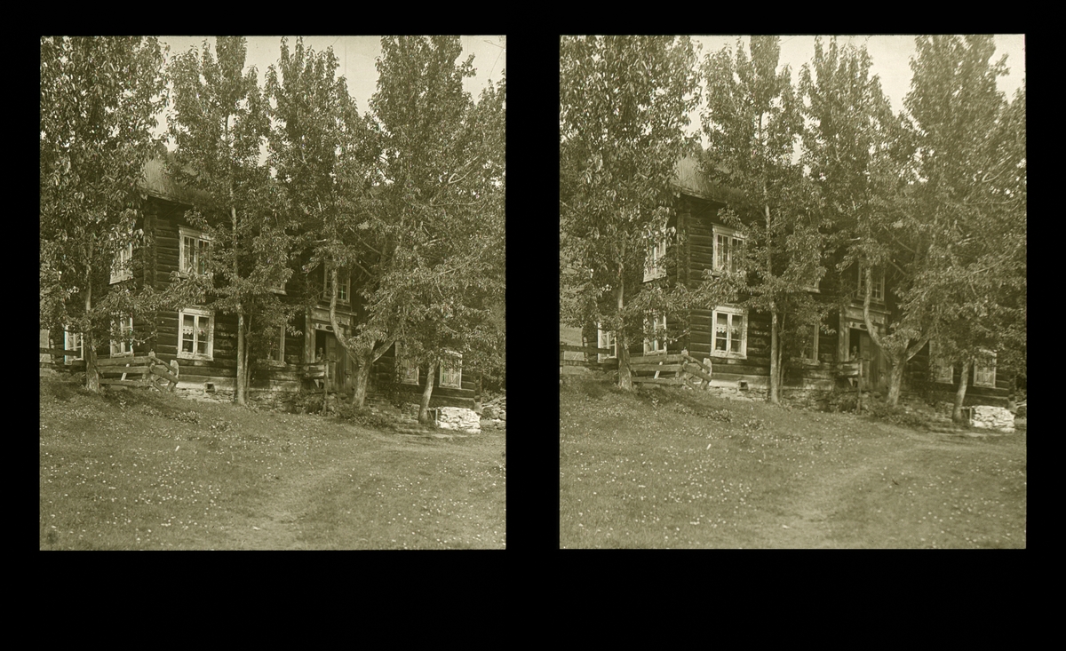 Tømmerhus omgitt av trær. Står en kvinner i døren. Tilhører Arkitekt Hans Grendahls samling av stereobilder.